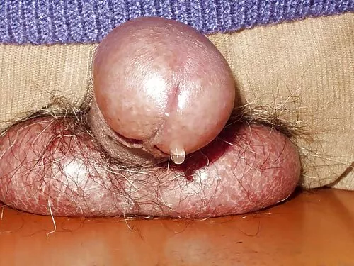 க்ளோஸ்-அப் ப்ளோஜாப்  ...