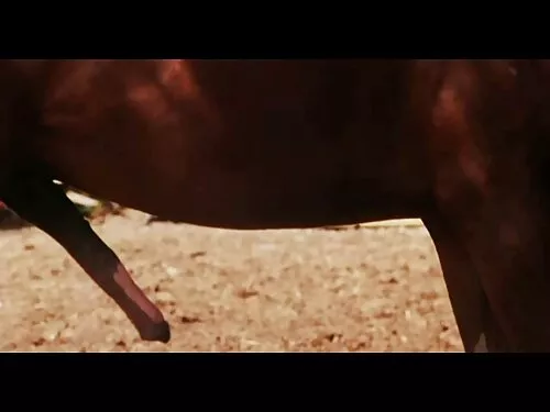 குட்டையான ஹேர்கட் கொ ...